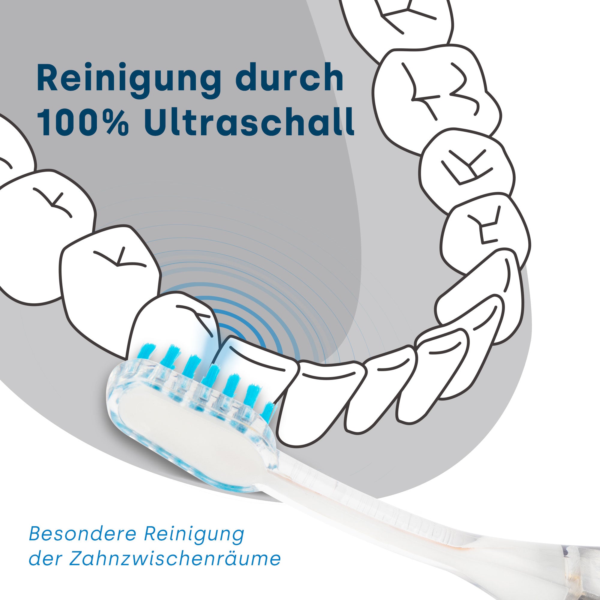 PM2 Aufsteckbürsten PlatinumCAM
