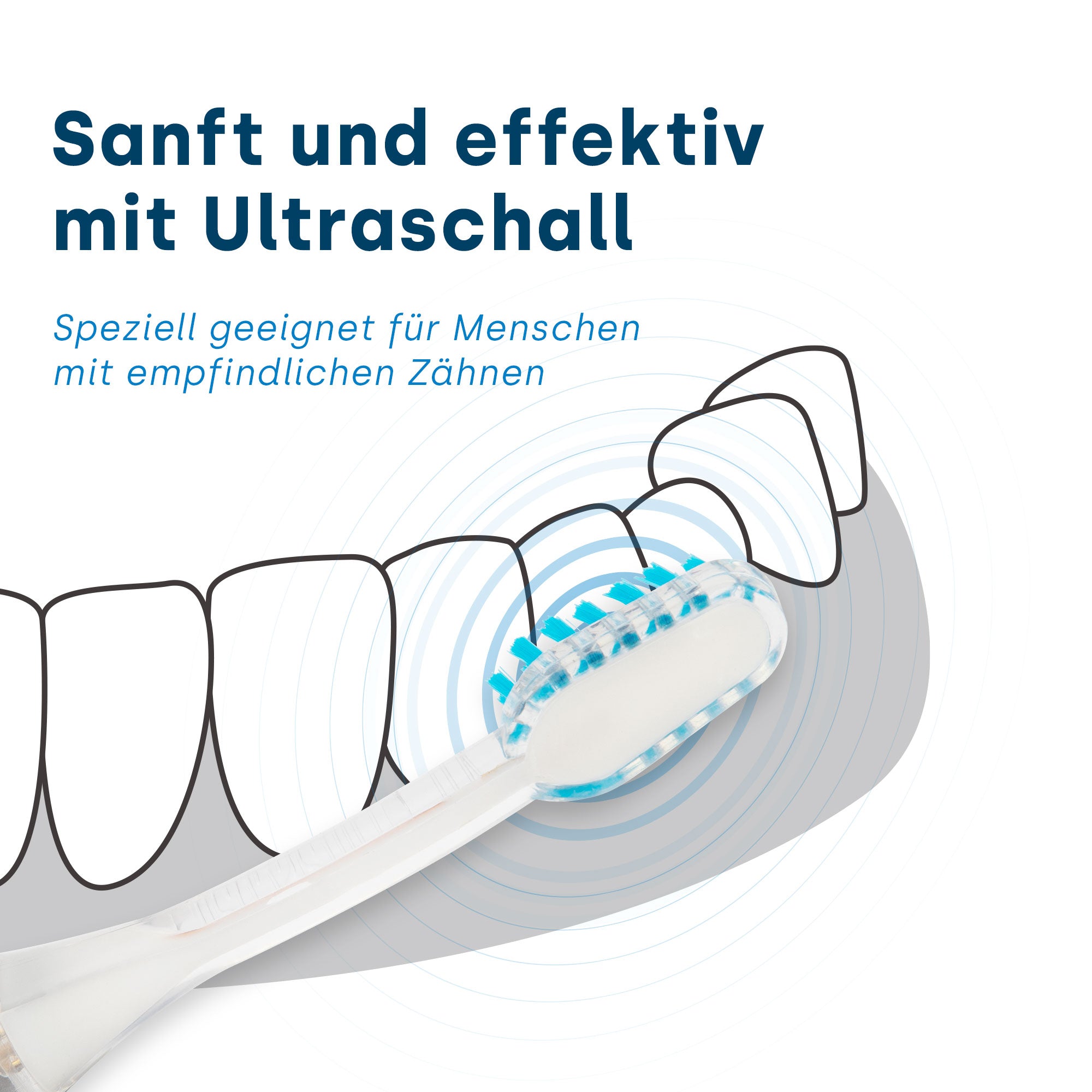 PM2 Aufsteckbürsten PlatinumCAM