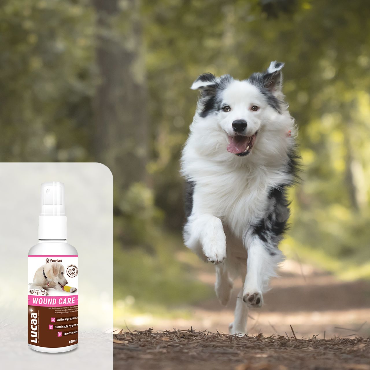 Lucaa+ Solución de limpieza de heridas para mascotas 100 ml