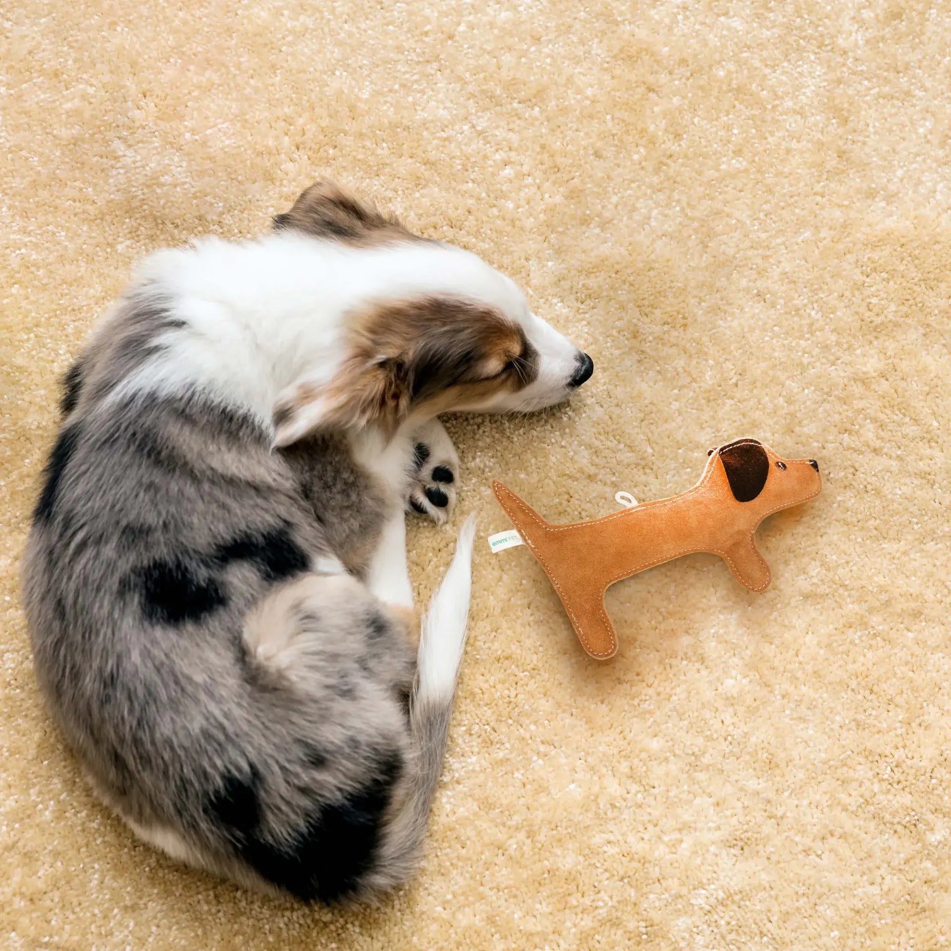 perro salchicha de juguete para tirar
