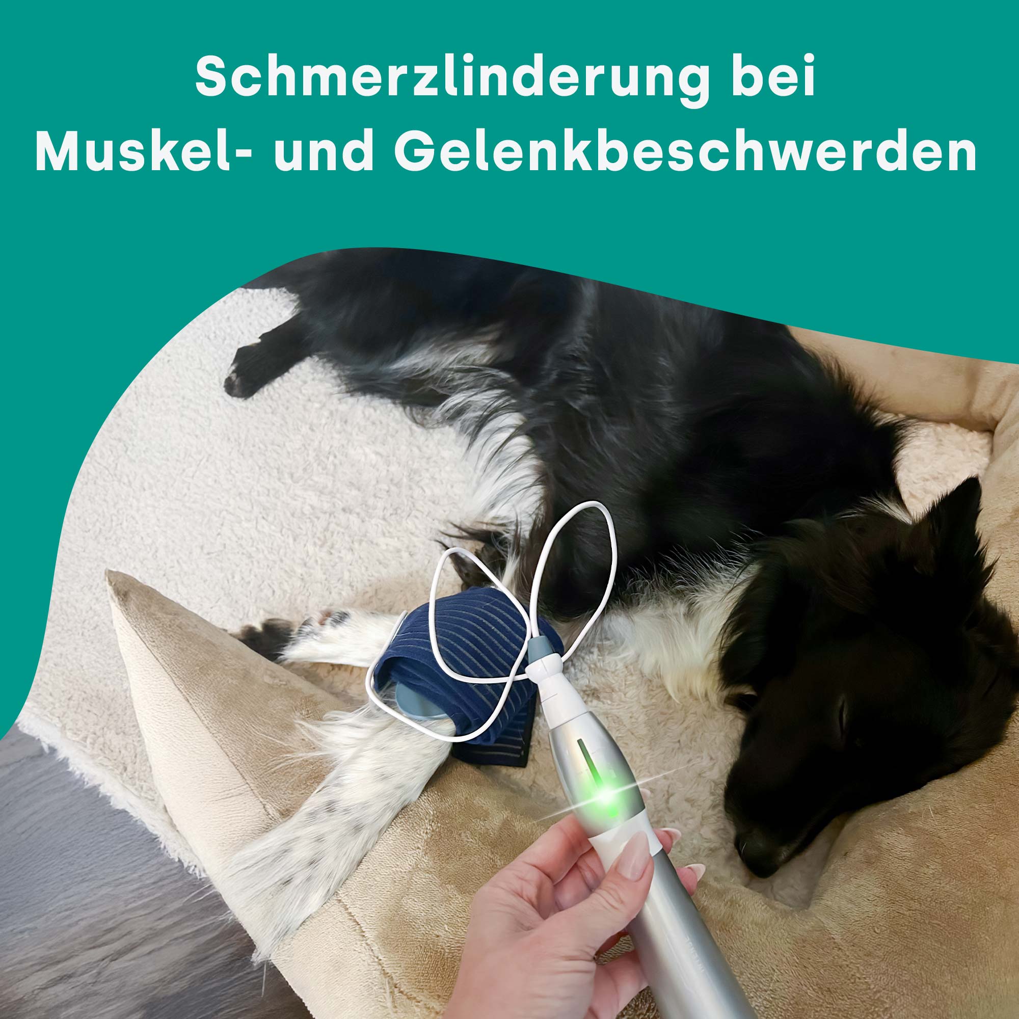 Emmi-pet Physio Set PLUS (enchufe: UE)