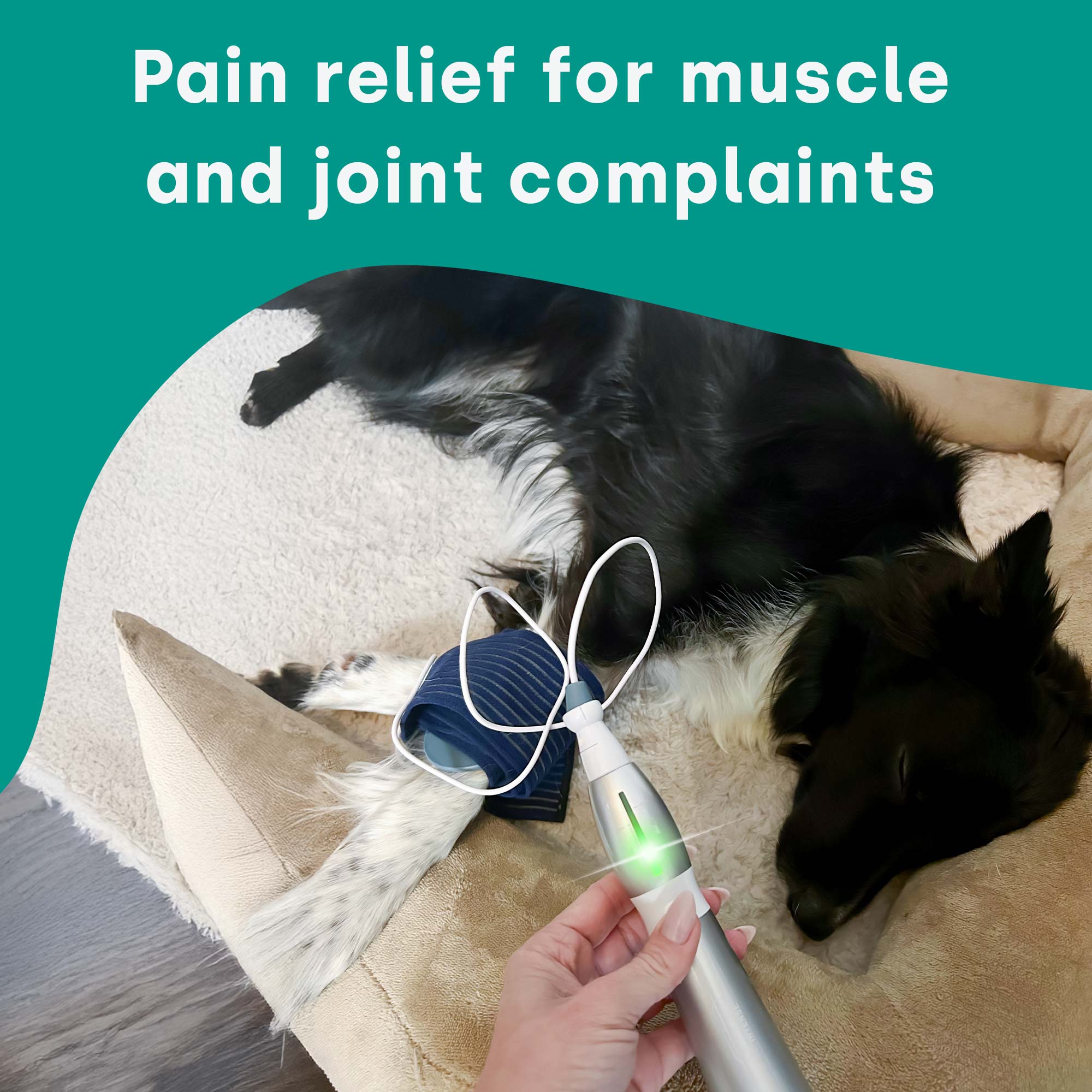 emmi-pet Physio Set (Plug: UK Plug)