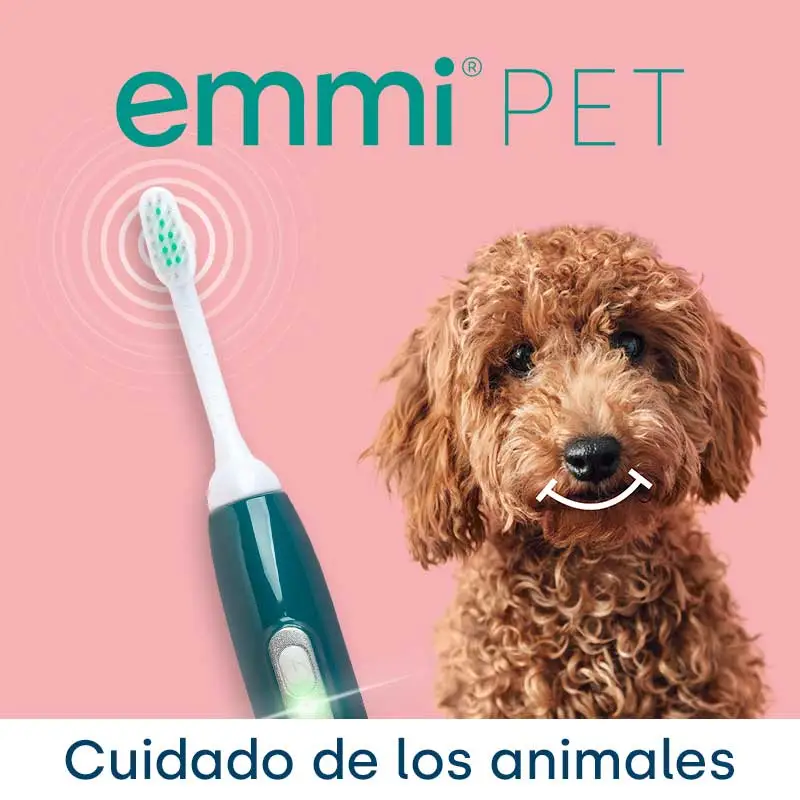 Cuidado de los animales